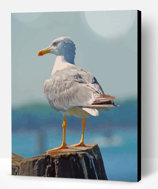 White Seagull Bird Paint By Number