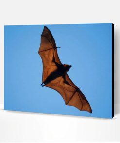 Wide Winged Bat Flies Paint By Number