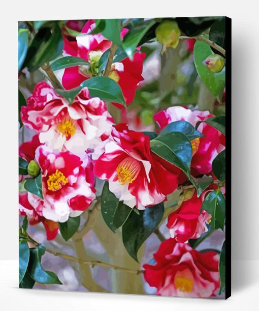 Wild Camellias Paint By Number