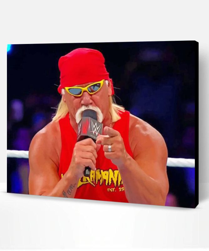 WWE Hulk Hogan Paint By Number