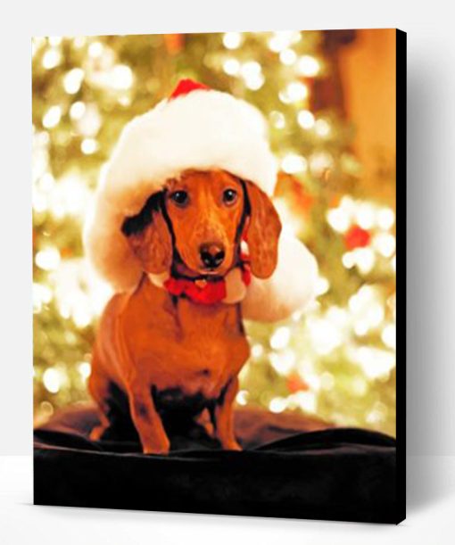 Christmas Dachshund Paint By Number