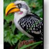 Yellow Billed Hornbill Paint By Number
