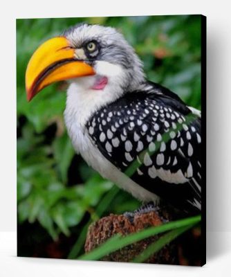 Yellow Billed Hornbill Paint By Number