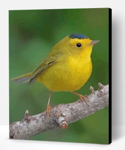 Yellow Canary Bird Paint By Number