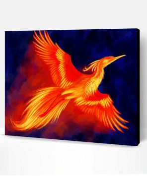 Fawkes Bird Paint By Number