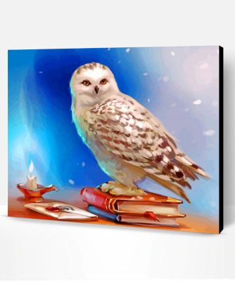 Hedwig Owl Paint By Number