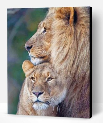 Lion Couple Paint By Number