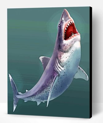 Megalodon shark paint by numbers