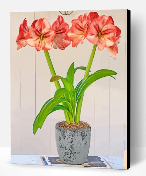 Orange Amaryllis paint by numbers