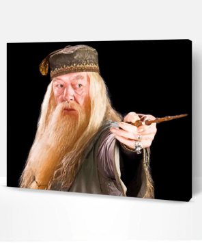 Professor Albus Paint By Number