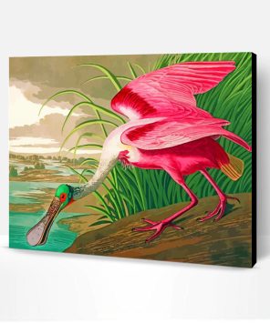 Spoonbill Bird Animal paint by numbers