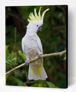 Sulphur Crested Cockatoo On Tree paint by numbers