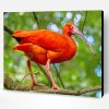 Trinidad Scarlet Ibis paint by number