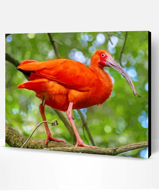 Trinidad Scarlet Ibis paint by number