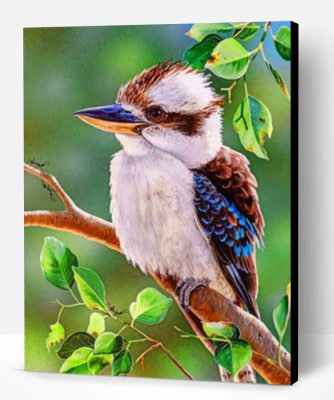 Australian Bird Kookaburra paint by numbers