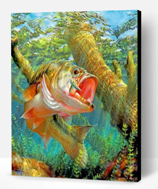 Bass Fish Underwater paint by numbers