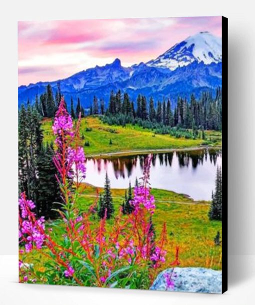 Mount Rainier National Park Paint By Number