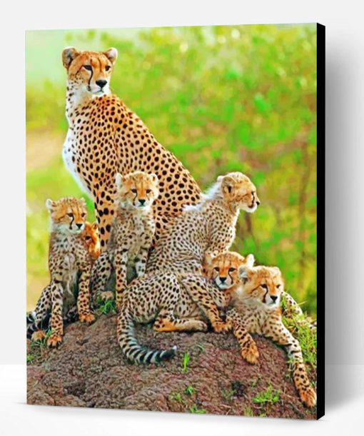 Cheetah Cubs With Mother paint by numbers