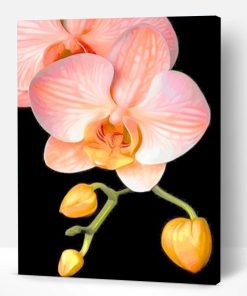 Orange Orchid Paint by numbers