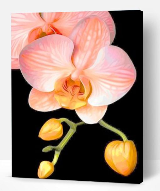 Orange Orchid Paint by numbers