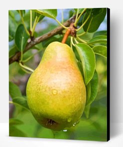 pear on tree paint by number