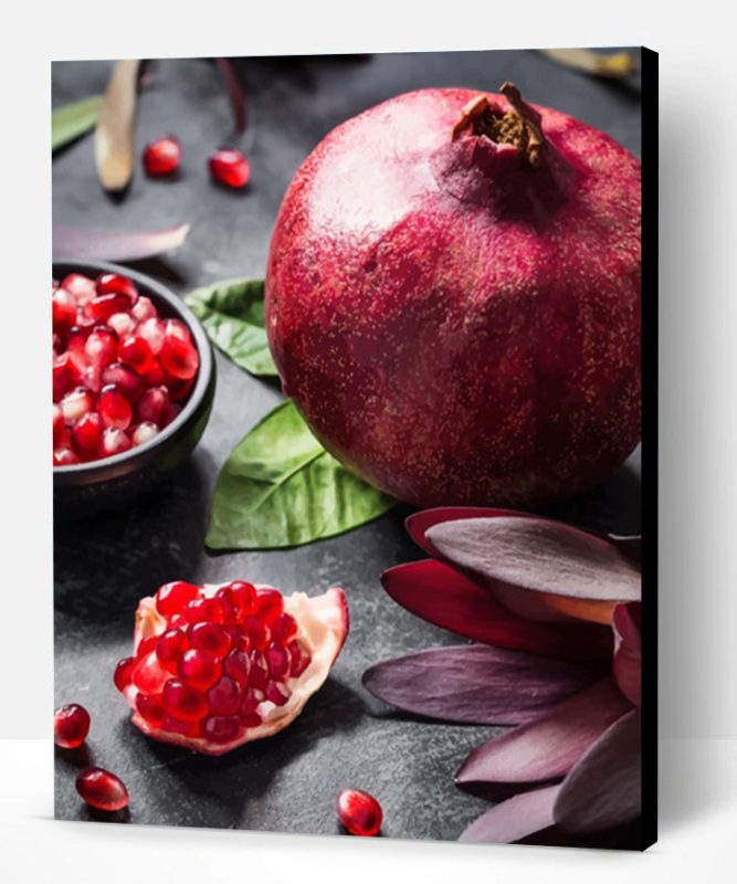 Pomegranate Photography paint by numbers