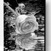 Rose And Water Paint By Number