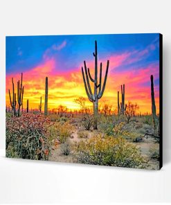 Sunset Saguaro National Park Tucson paint by numbers