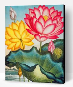 Water Lily Art Paint By Number
