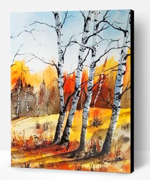 Birch Trees Forest Paint By Number