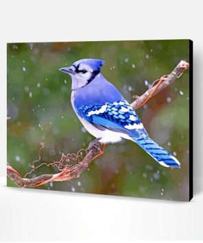 Blue Jay JanLewis Paint By Number