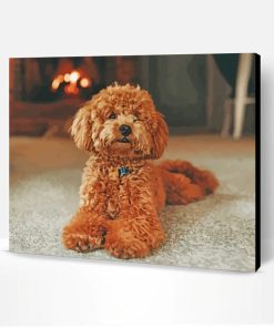 Brown Poodle Dog Paint By Number