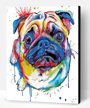 Colorful Splash Pug Dog Paint By Number