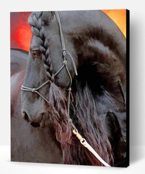 Friesian Horse Paint By Number
