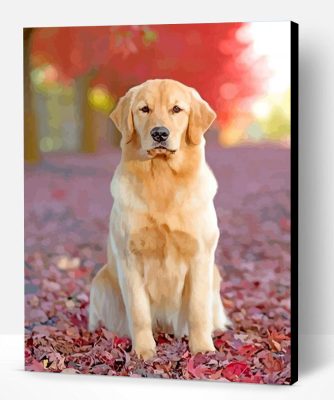 Labrador Retriever Dog Paint By Number