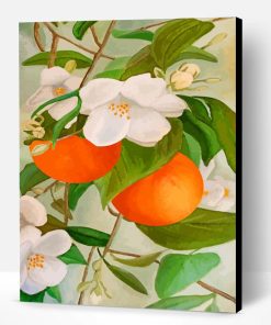 Orange Tree and blossoms paint by number