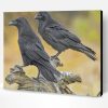 Ravens Birds Paint By Number