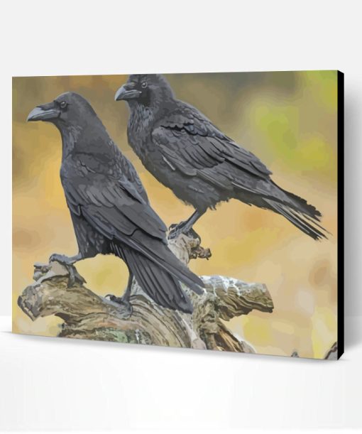 Ravens Birds Paint By Number