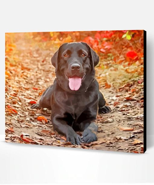 Black Labrador Retriever Paint By Number