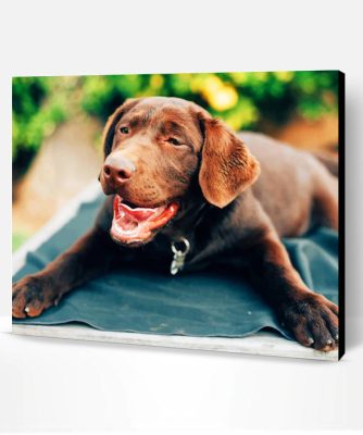 Labrador Retriever Puppy Paint By Number