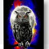 Galaxy Owl Paint By Number