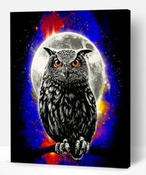 Galaxy Owl Paint By Number