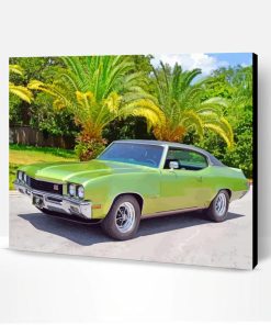 green buick skylark paint by number