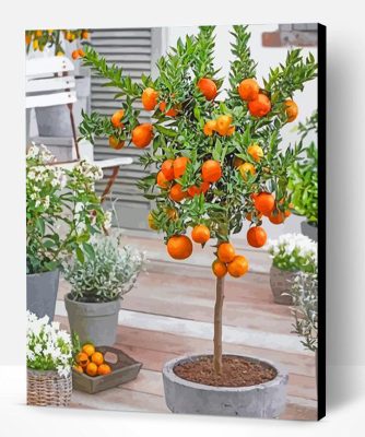 orange tree in pot paint by numbers