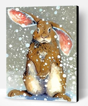 Rabbit In Snow Paint By Number
