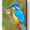 Bird Kingfisher Paint By Number