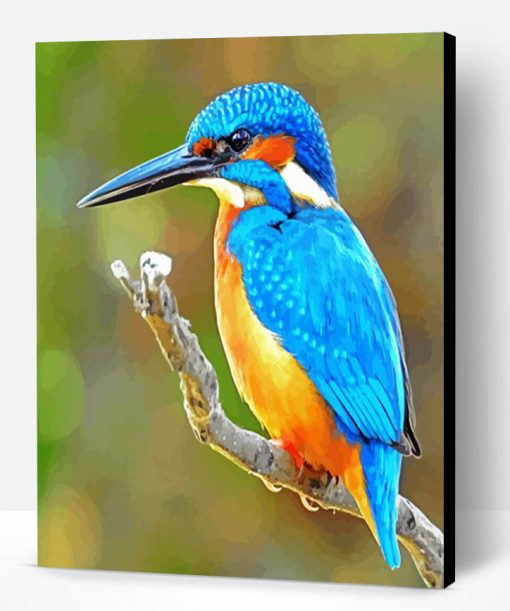 Bird Kingfisher Paint By Number