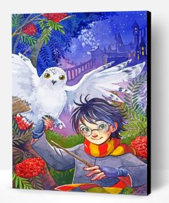 Hedwig And Harry Potter Paint By Number