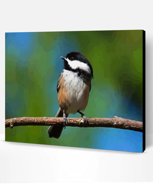 Cute Chickadee Bird Paint By Number