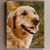 Dogs paint by number